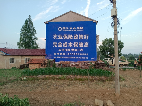 金秀墙体广告的优劣势你知道吗?